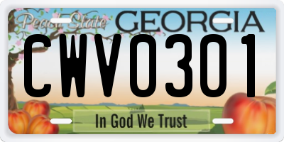 GA license plate CWV0301