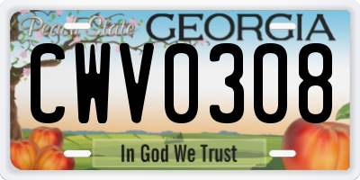 GA license plate CWV0308