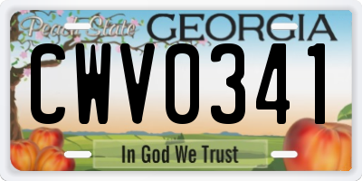 GA license plate CWV0341