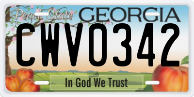 GA license plate CWV0342