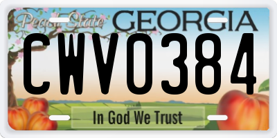 GA license plate CWV0384