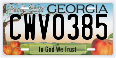 GA license plate CWV0385