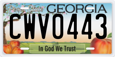 GA license plate CWV0443
