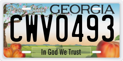 GA license plate CWV0493