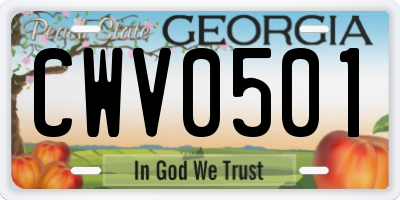 GA license plate CWV0501