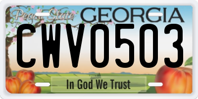 GA license plate CWV0503