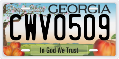GA license plate CWV0509