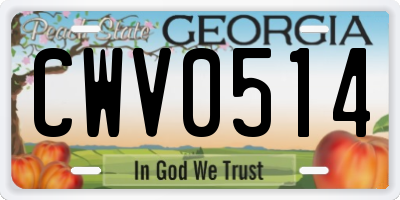 GA license plate CWV0514