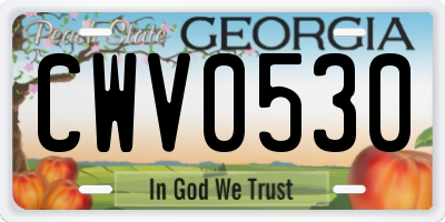 GA license plate CWV0530