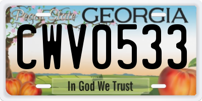 GA license plate CWV0533
