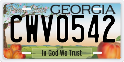 GA license plate CWV0542