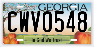 GA license plate CWV0548