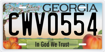 GA license plate CWV0554