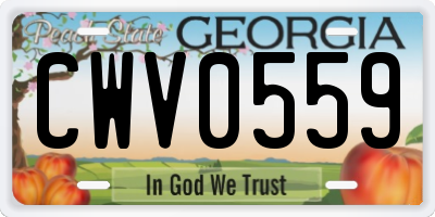 GA license plate CWV0559