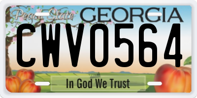 GA license plate CWV0564