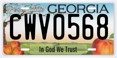 GA license plate CWV0568