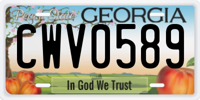 GA license plate CWV0589