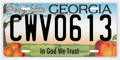 GA license plate CWV0613