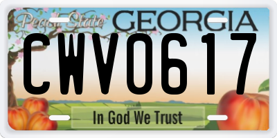 GA license plate CWV0617