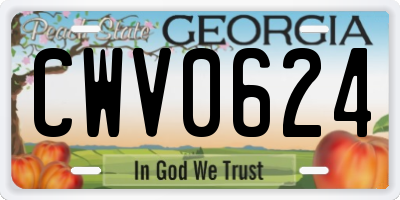 GA license plate CWV0624