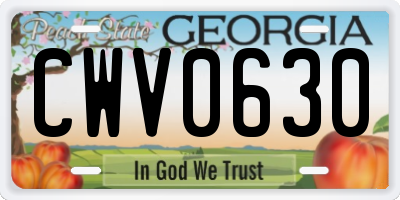 GA license plate CWV0630