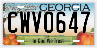 GA license plate CWV0647