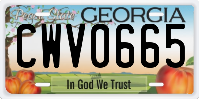 GA license plate CWV0665