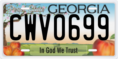 GA license plate CWV0699