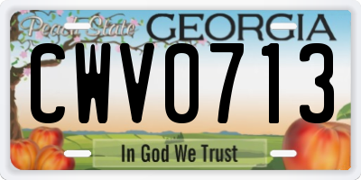 GA license plate CWV0713