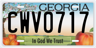 GA license plate CWV0717