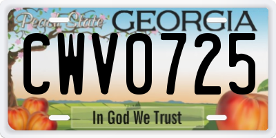 GA license plate CWV0725