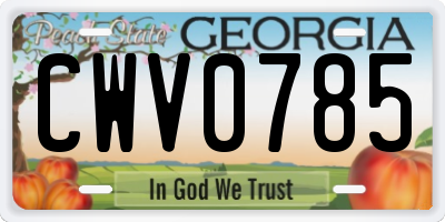 GA license plate CWV0785