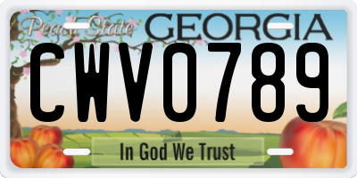 GA license plate CWV0789