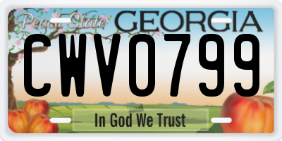 GA license plate CWV0799