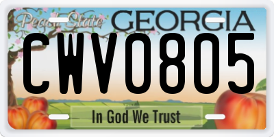 GA license plate CWV0805