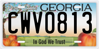 GA license plate CWV0813