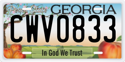 GA license plate CWV0833