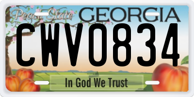 GA license plate CWV0834