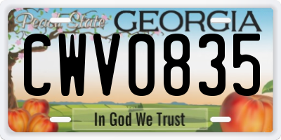 GA license plate CWV0835