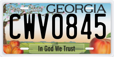 GA license plate CWV0845