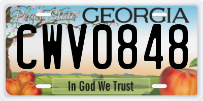 GA license plate CWV0848