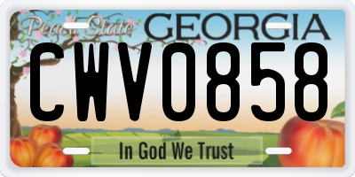 GA license plate CWV0858