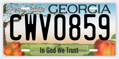 GA license plate CWV0859