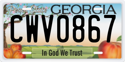 GA license plate CWV0867
