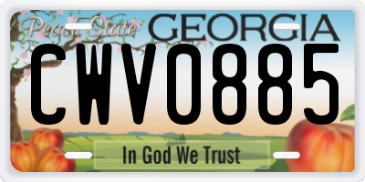 GA license plate CWV0885