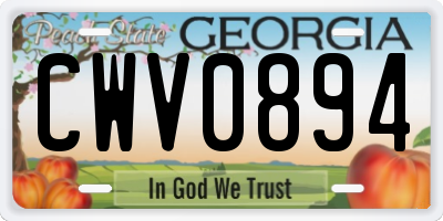 GA license plate CWV0894