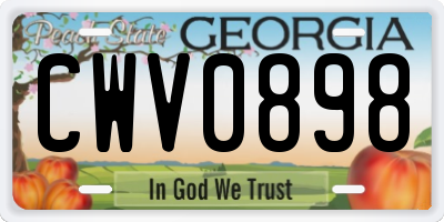 GA license plate CWV0898
