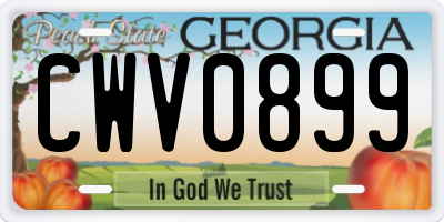 GA license plate CWV0899