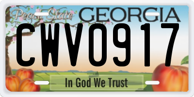 GA license plate CWV0917
