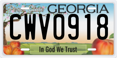 GA license plate CWV0918